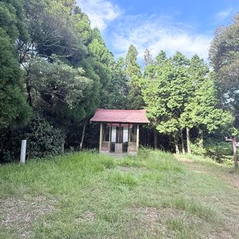 っで山頂（めちゃ近い）