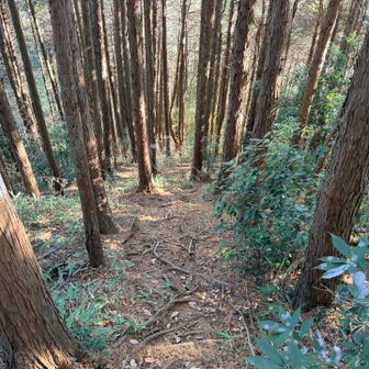 一旦下山して熊笹山へ向かいます