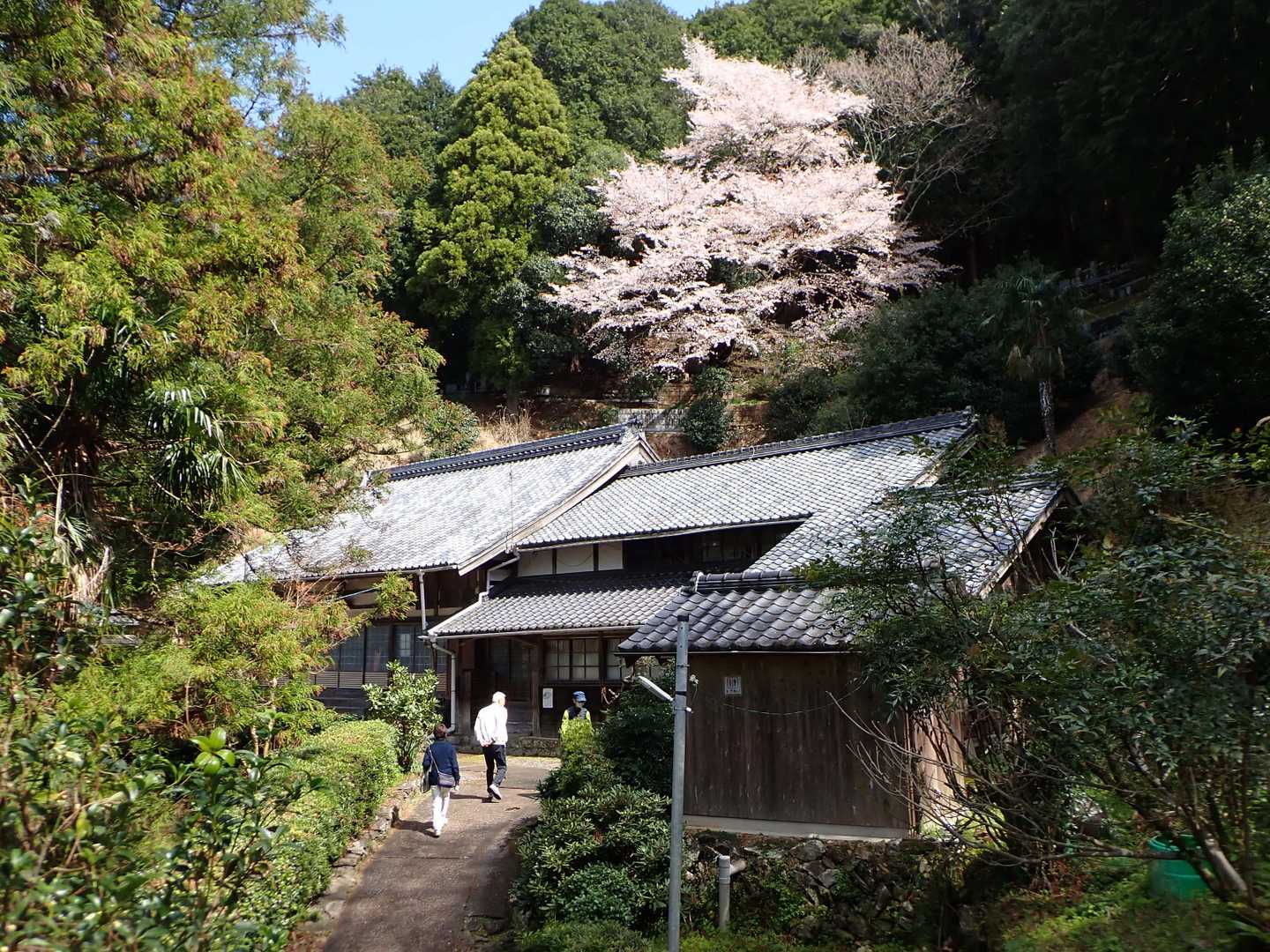 徳蔵寺は無住の寺。
境内にシャクナゲの株があるが、ここのは咲いてなかった。
この周辺には三十三所巡りの石仏が立てられている。
今回はそれを逆回りに歩いて万燈山に寄る。