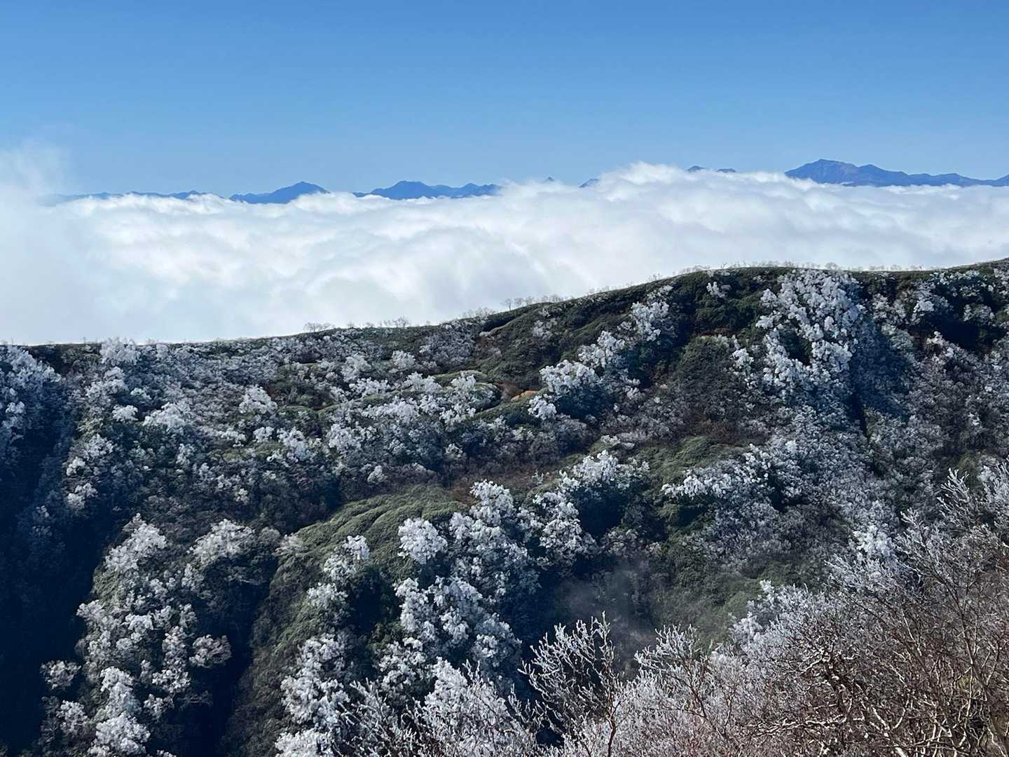北アルプスもバッチリ雲海から顔だしてます✨