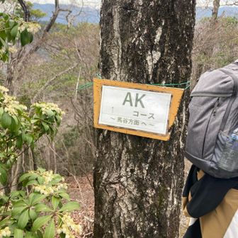 🦑にするためには、ヤマップにはないAKコースから下りるべし！