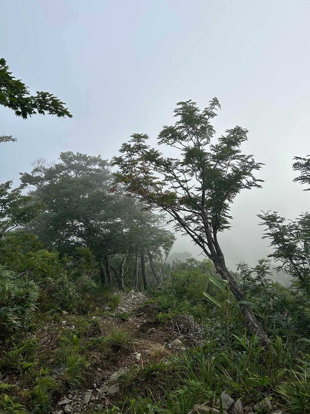 朝の青空はどこへ？