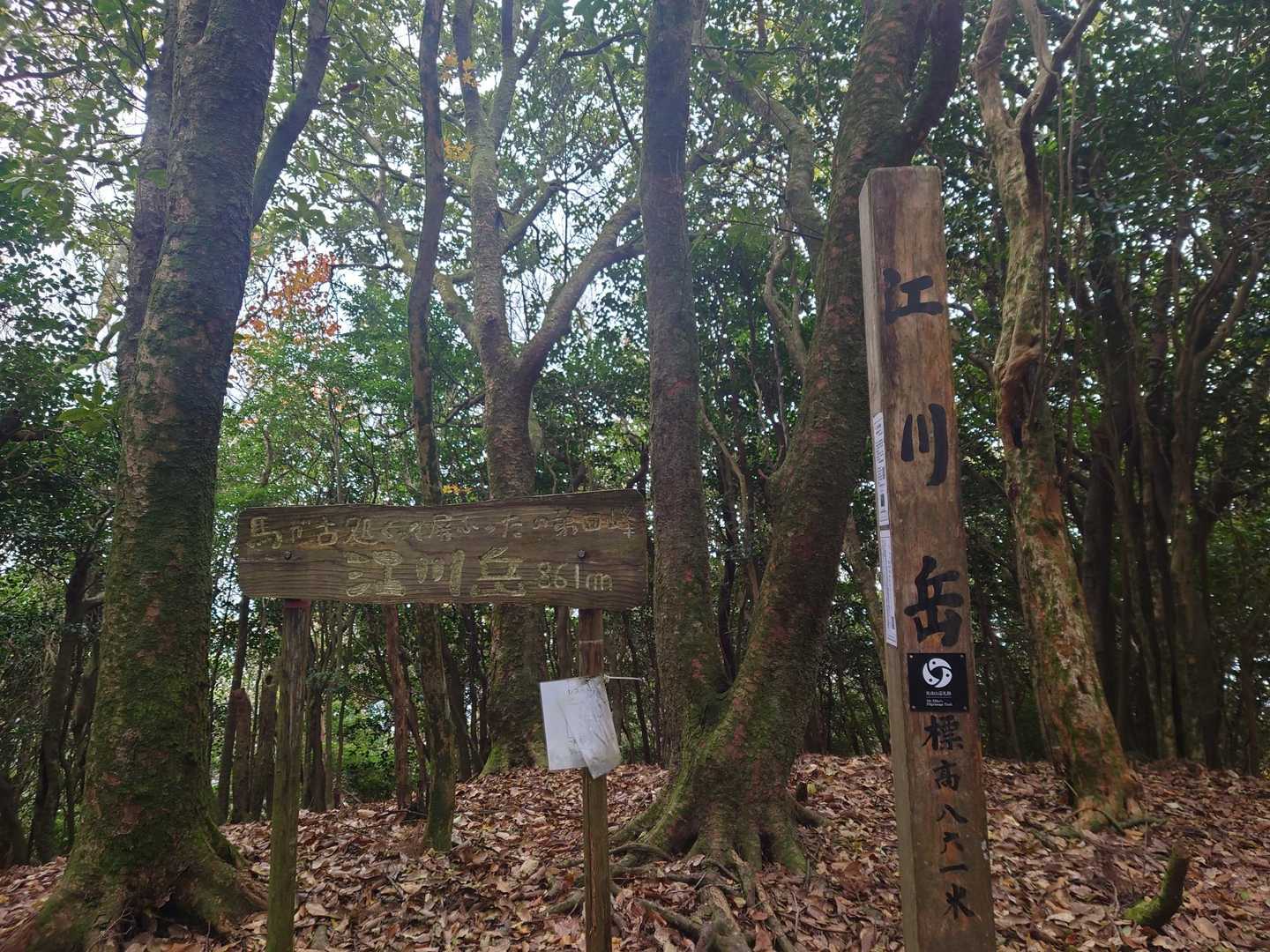 古処山-屏山-江川岳-宇土浦越-馬見山 往復コースの写真