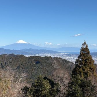 高草山から見る富士山も綺麗😍