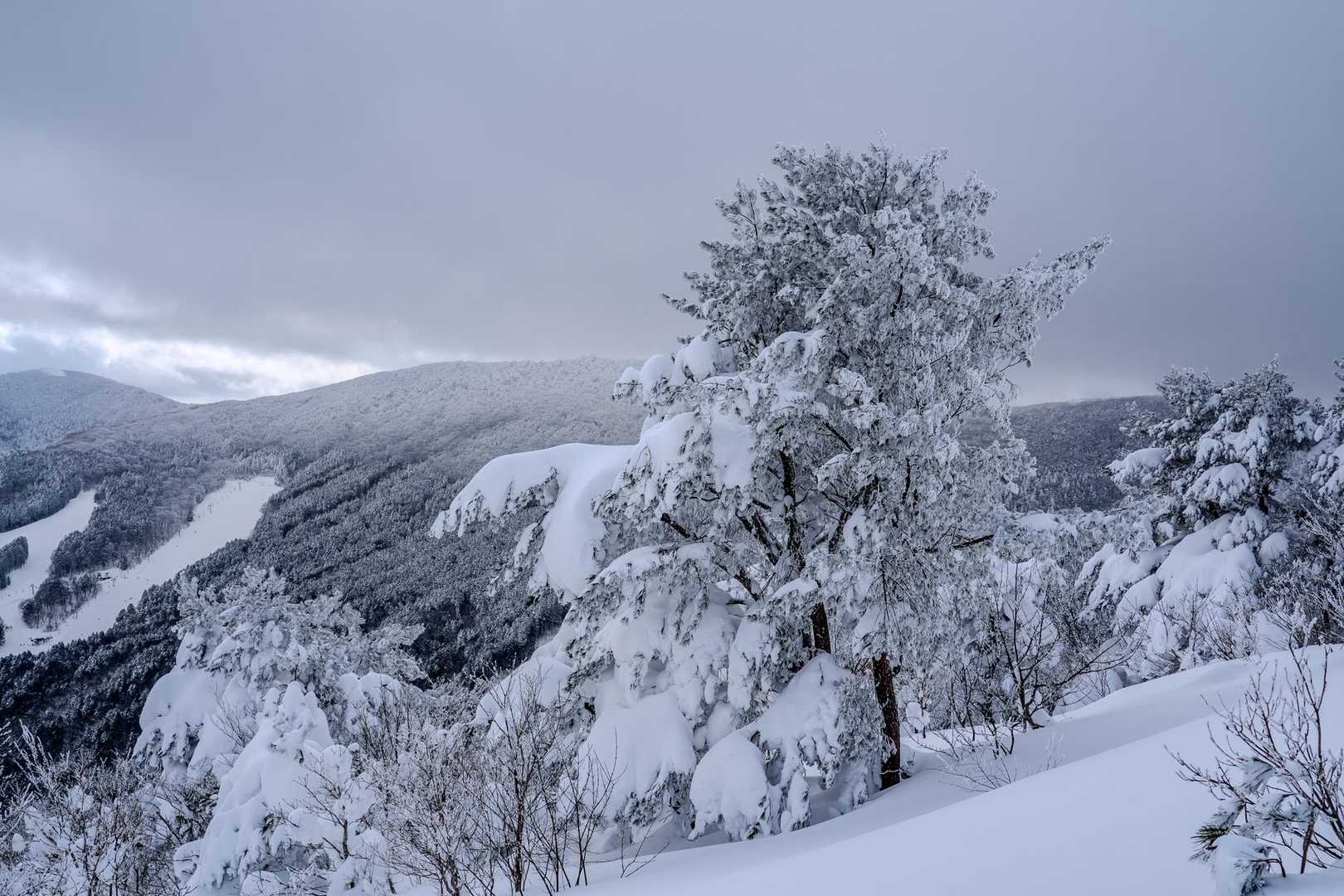 晴れたり曇ったり雪雲出たりしてるし、写真を撮り過ぎて大幅に時間をロスしたので