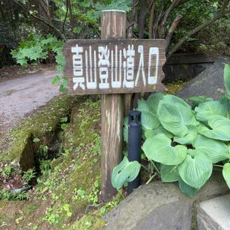 真山神社側からスタート