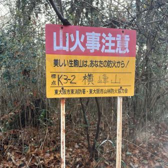 3つ目のピーク
横峰山⛰️到着（景観ナシ🫤）



さて、今日はどこまでいこうかな？
と今更ながら悩みながら歩く
