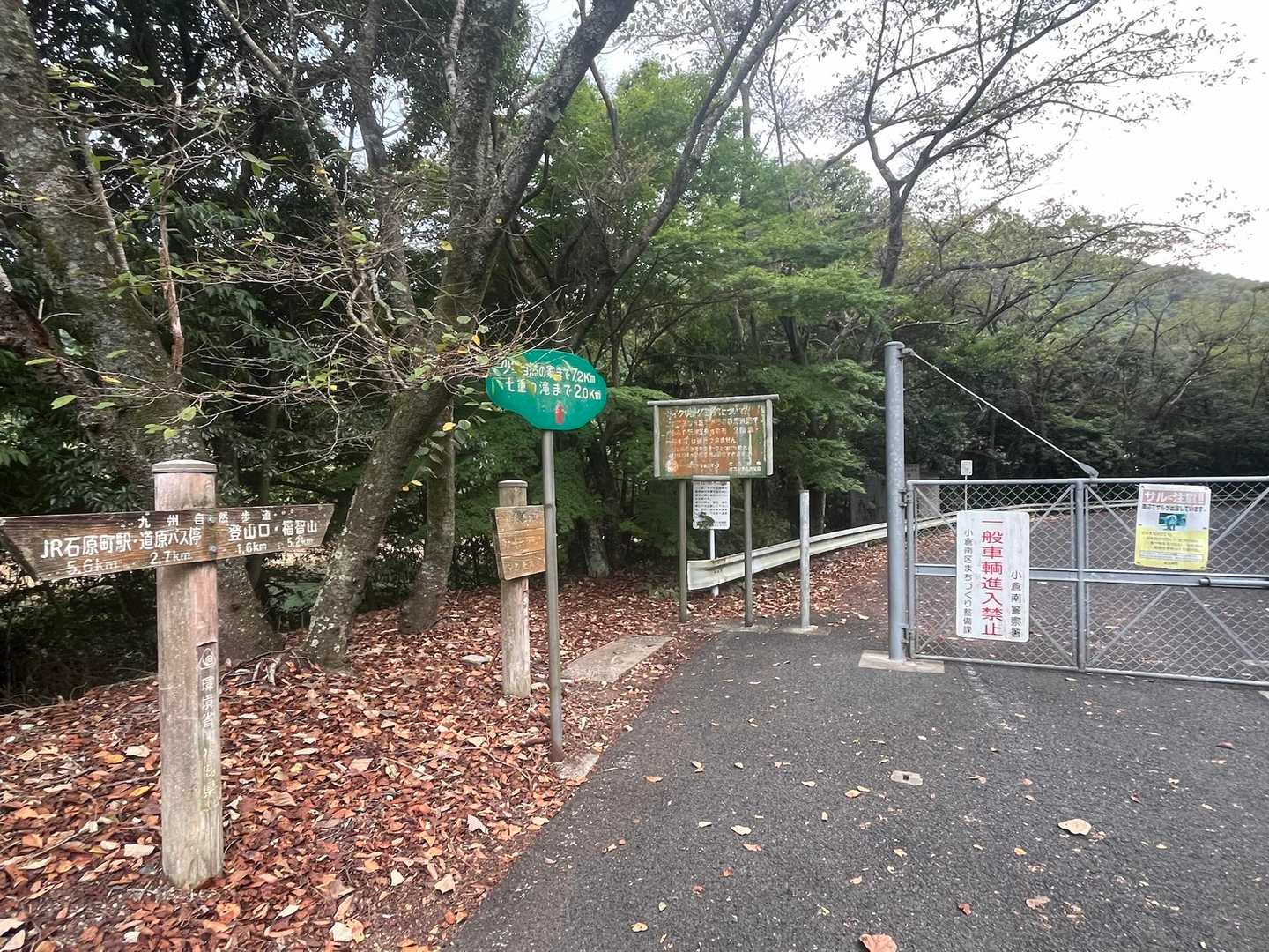 帰って来ました