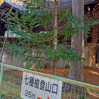 トイレはこちらで