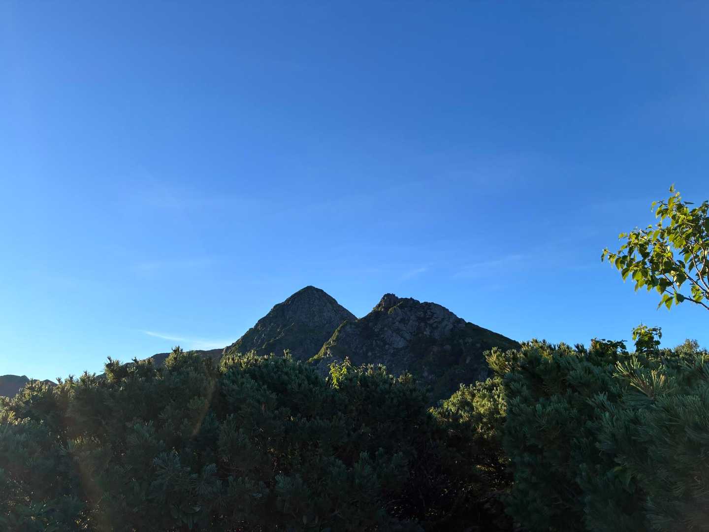 越路バス停-鳥倉登山口-三伏峠-三伏山-本谷山-塩見岳-塩 往復コースの写真