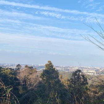 こんな感じの展望