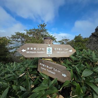 下からの登山道と合流