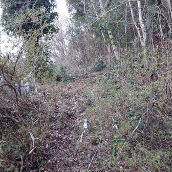 丹三郎山バリエーションルートの取付
左側にはお墓