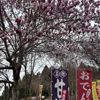 城山着いたら雨☔　降り出す前に下山できればと思っていたけど
久々に着るレインウェアが新鮮