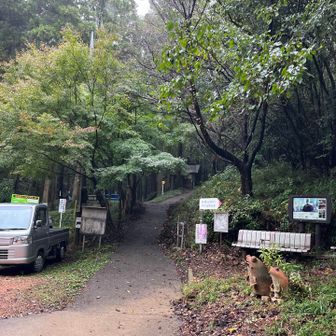 登山口