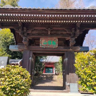 無事に帰ってまいりました。