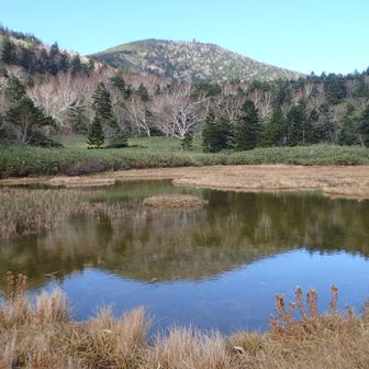 高山の原生林を守る会