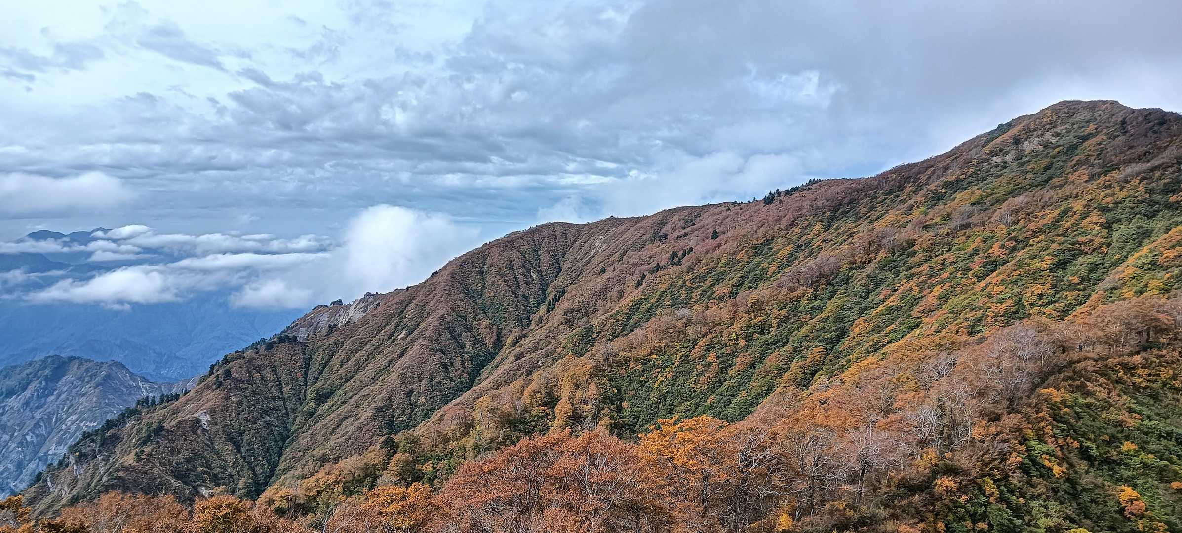 霧来沢登山口-本名御神楽-御神楽岳 往復コースの写真