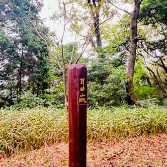 耳納山山頂。