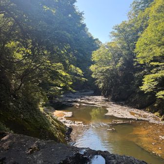 袋田の滝上流！
水はあんまり綺麗じゃないかも😇