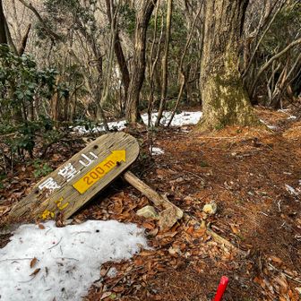 少し戻って展望山へ　
下るということはまた登りがあるんだよな
この労力に見合ったご褒美はいかに！？