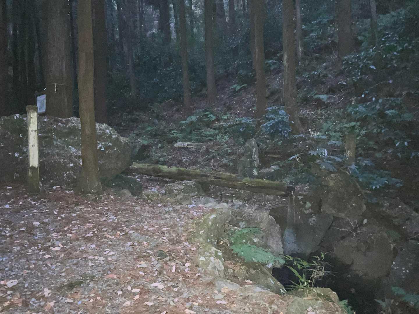 不動の滝。
樹林帯はまだ薄暗いです。
