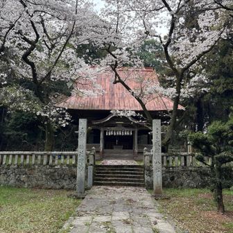 歴史のありそうな神社⛩️
ここでもキレイな桜を見ることができた🌸