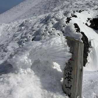 鳥の羽のよう🕊️