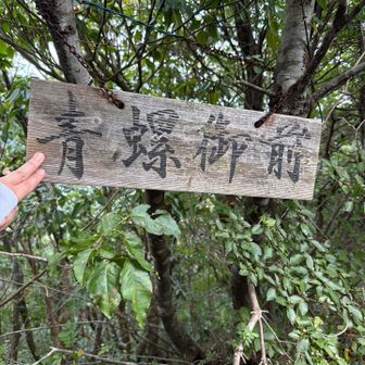 青螺御前山頂　標高510m？