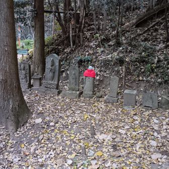 戻ってきました。
またねー。
おー、また来いや！