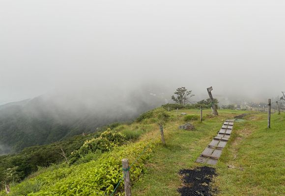 蓬莱山（滋賀・1174m）| 登山ルート・天気 | YAMAP / ヤマップ