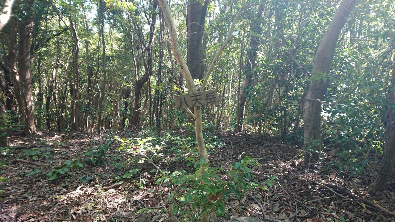 八天岳山頂
はい、退散