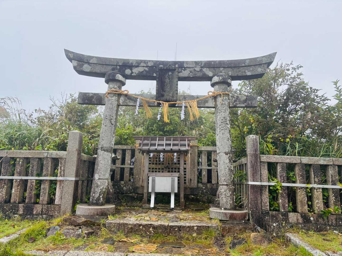 弥彦山ロープウェイ山頂駅発着｜田園と日本海を望む弥彦山往復コースの写真