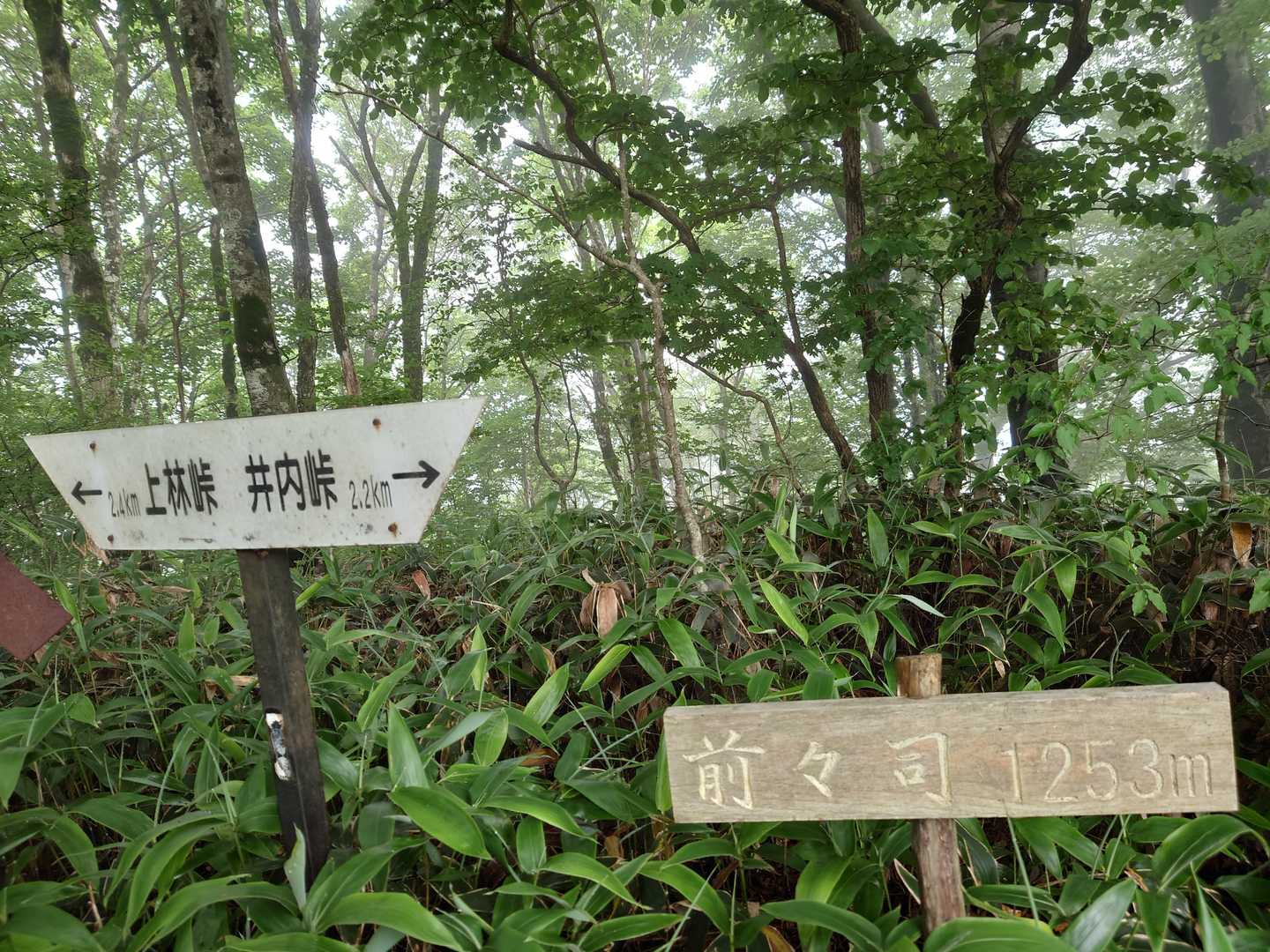 キターー
ぜんぜんじ、、じゃなくてまえぜんじ(笑)