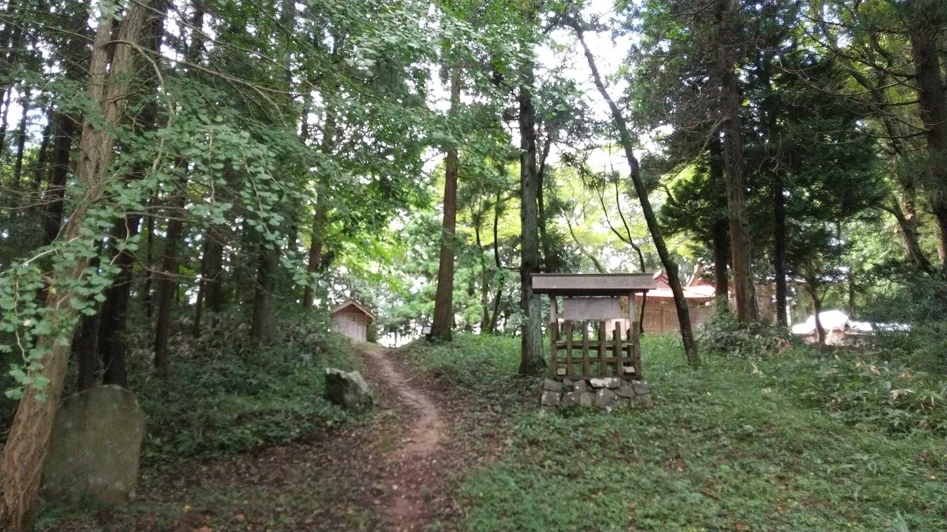 なんだか神聖です