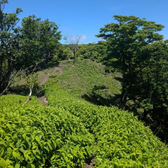 次は蓬莱山目指して〜