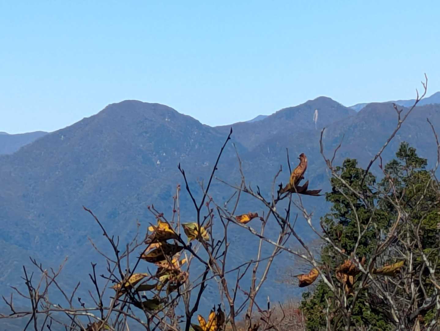 貝月山 往復コースの写真