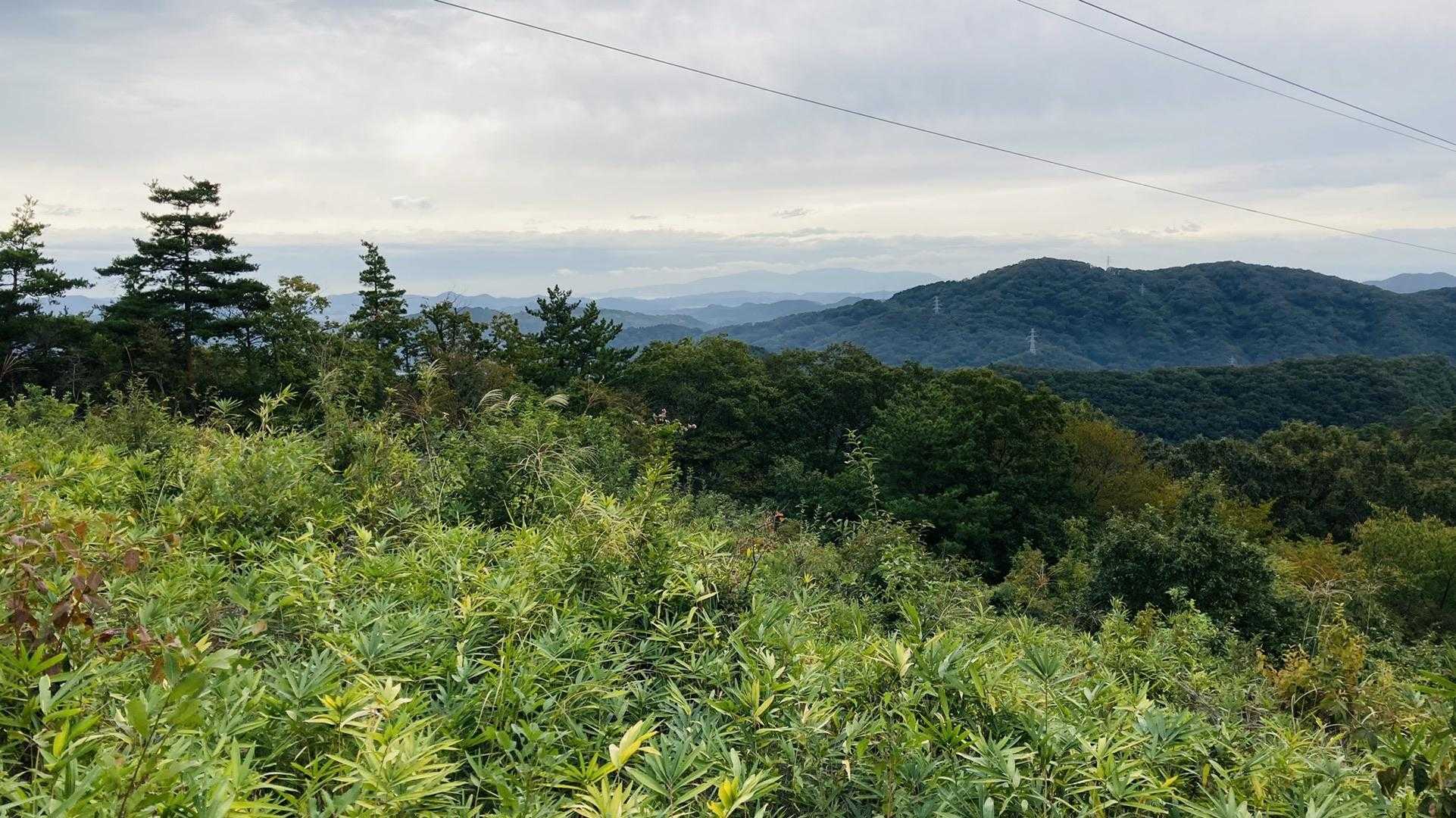 今日は曇り空☁️
気温21°の予報だけど、そこまでないなぁ