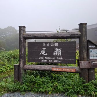 むかーーし尾瀬に来たことがあるのですが記憶が曖昧で、いったいどこを訪れたのやら
ここ数年の登山の内容はYAMAPに記録しているからか、どれもしっかり覚えているのに、昔のレジャーのことなんてほとんど覚えてないものですね…