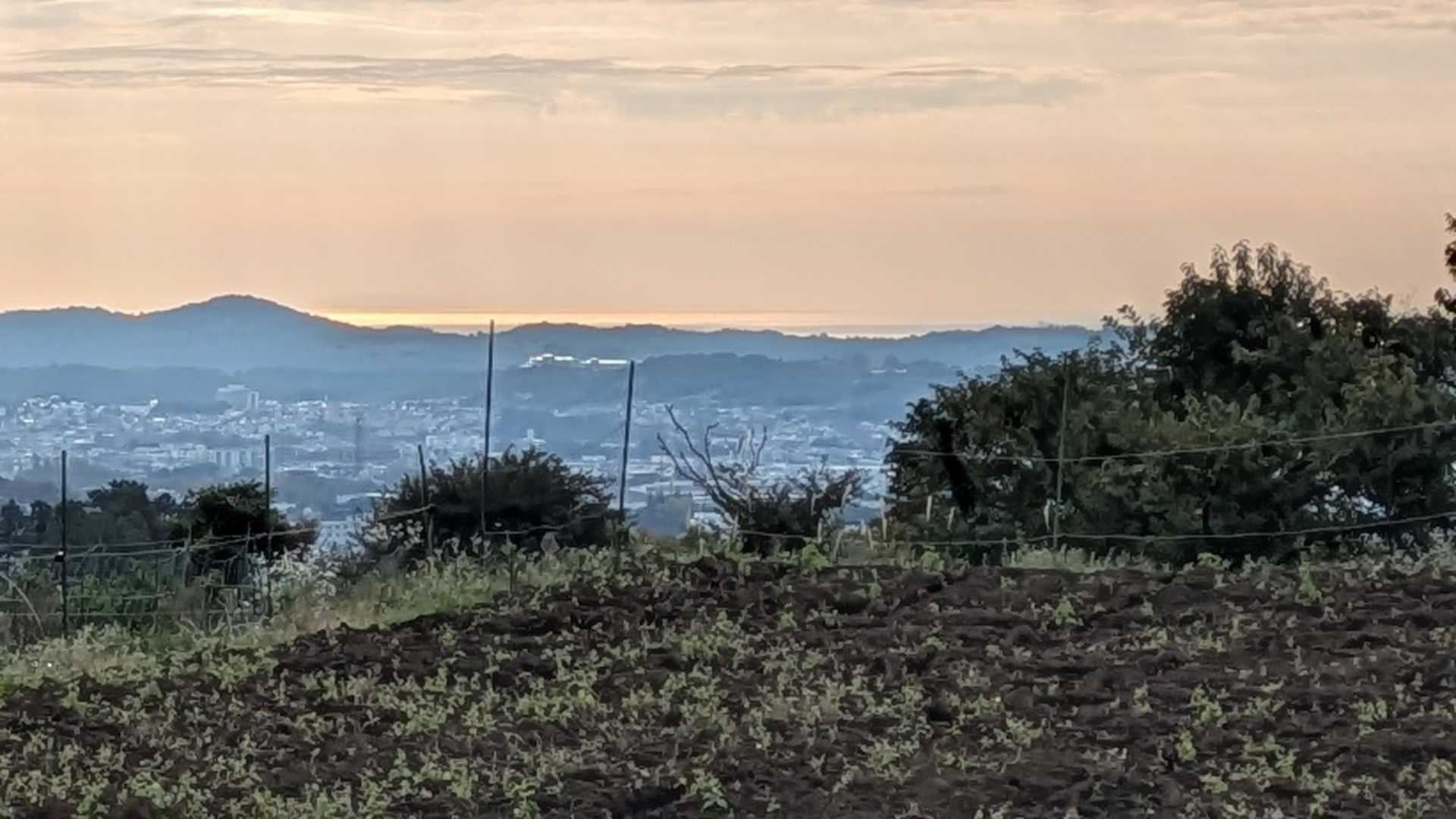 朝早いと出会える景色