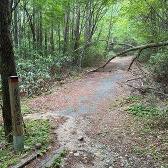 登山口まで戻りました