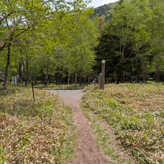 登山口入口戻りました