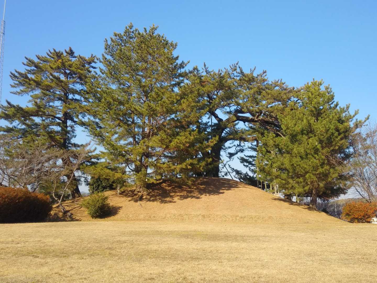 これが岡山県最低峰！
『角力取山』の全体です😄‼️