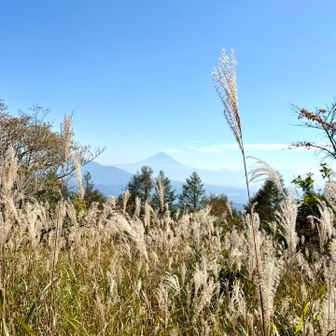富士山も秋景色