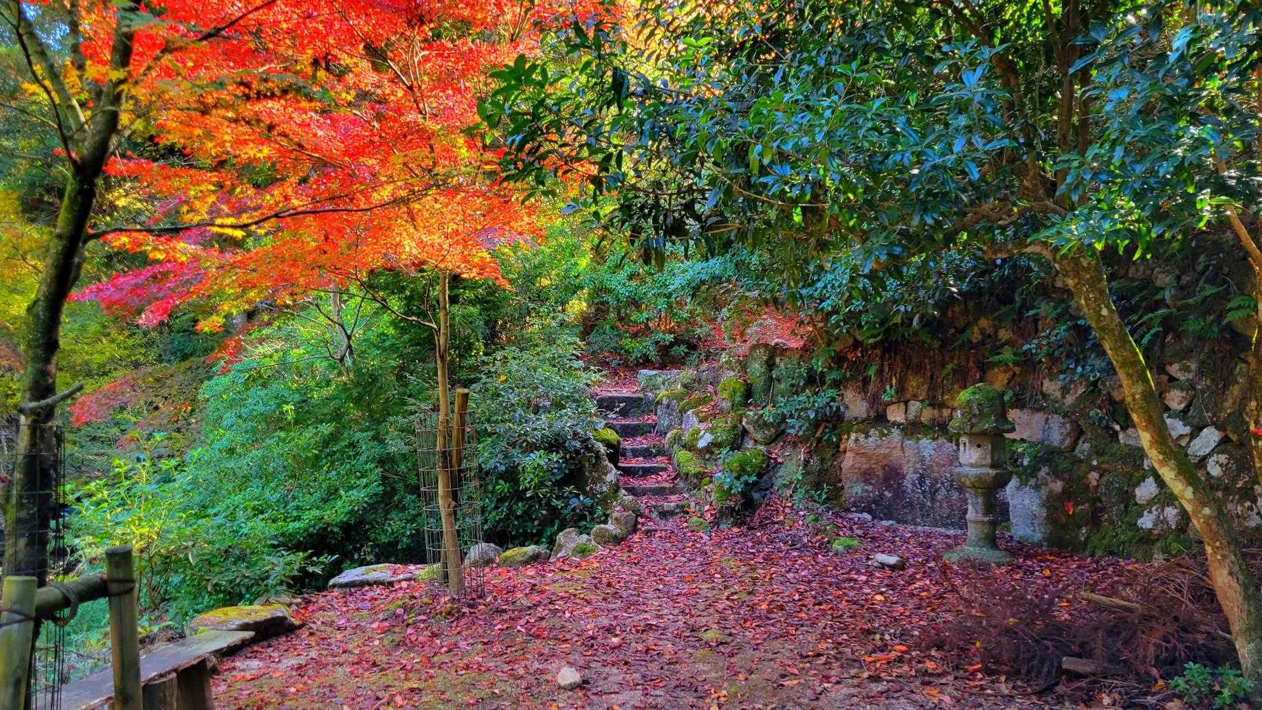 弥山登山道入口-弥山-駒ヶ林 縦走コースの写真