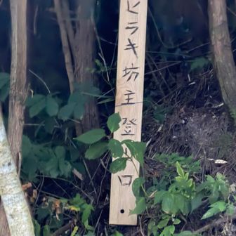 行きはこっちのルート