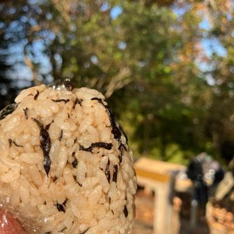 おにぎりサイコー🍙