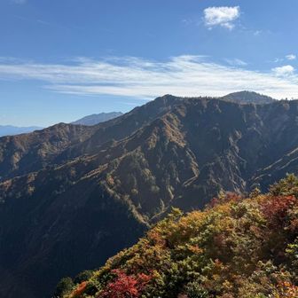 登ってきたところ。