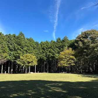 みのお記念の森公園内に入りました⛲️
きれいな芝生広場から