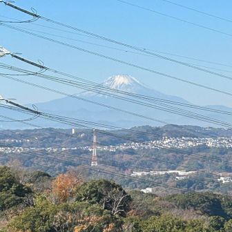 電線がぁ邪魔‼️